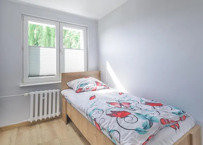 Redlowska Przystan - Plaza, Las, Miasto, Fiesta Apartament *