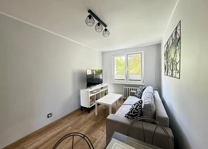 Redlowska Przystan - Plaza, Las, Miasto, Fiesta * Gdynia